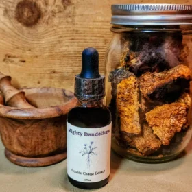 image of chaga extract product 1 oz