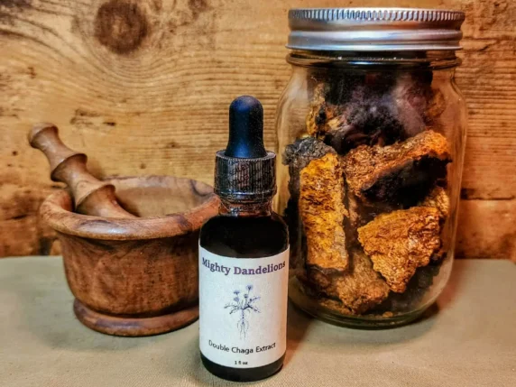 image of chaga extract product 1 oz