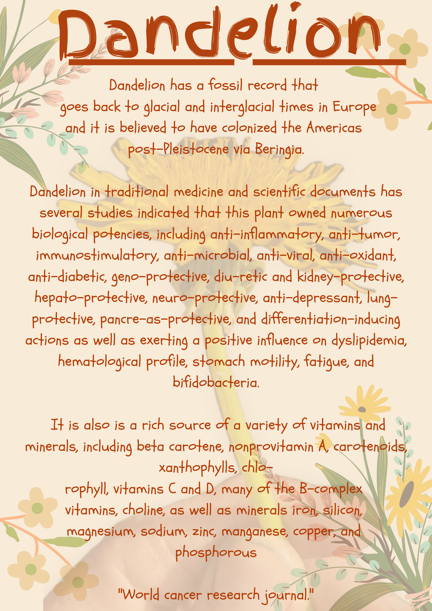 Dandelion Root Extract (Taraxacum officinale) - Mighty Dandelions