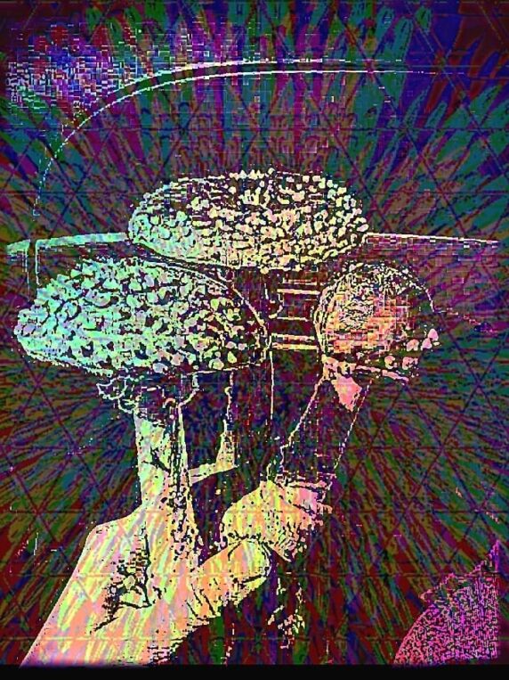 image of psychedelic amanita merch sticker