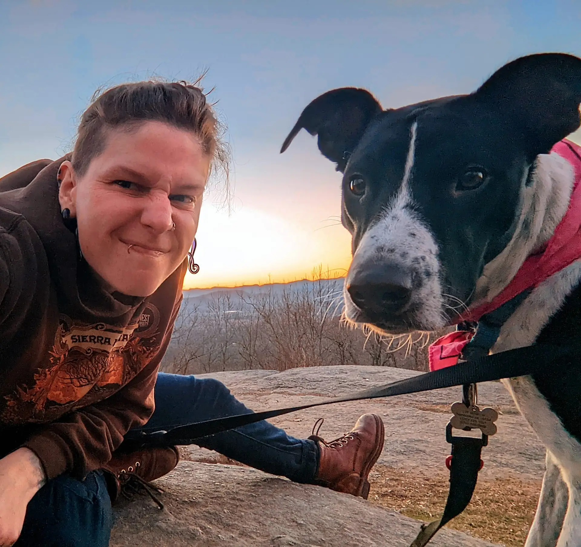 image of mighty dandelion owner and cow