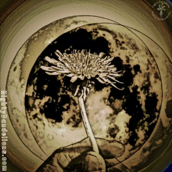 image of dandelions under the moon merch sticker